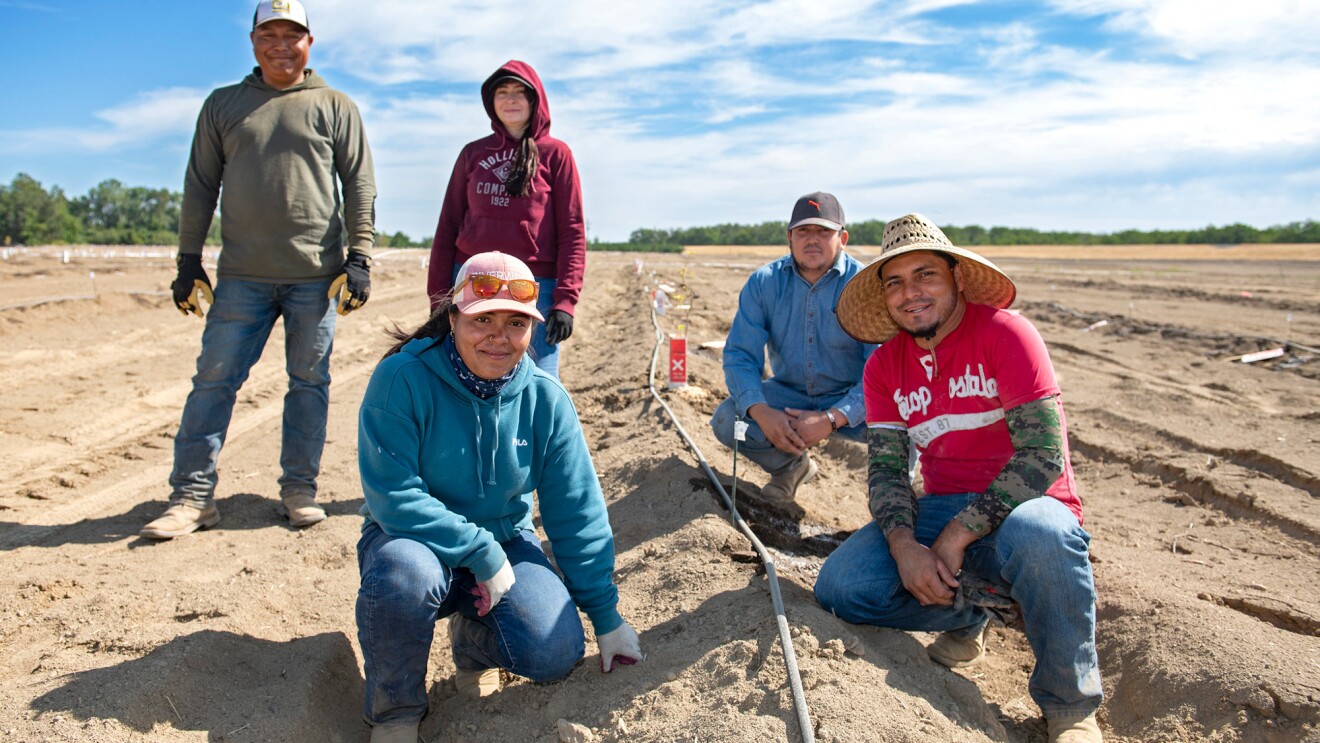 Five workers at the Willow Bend project in California's Central Valley kneeling in a field next to an irrigation pipe.