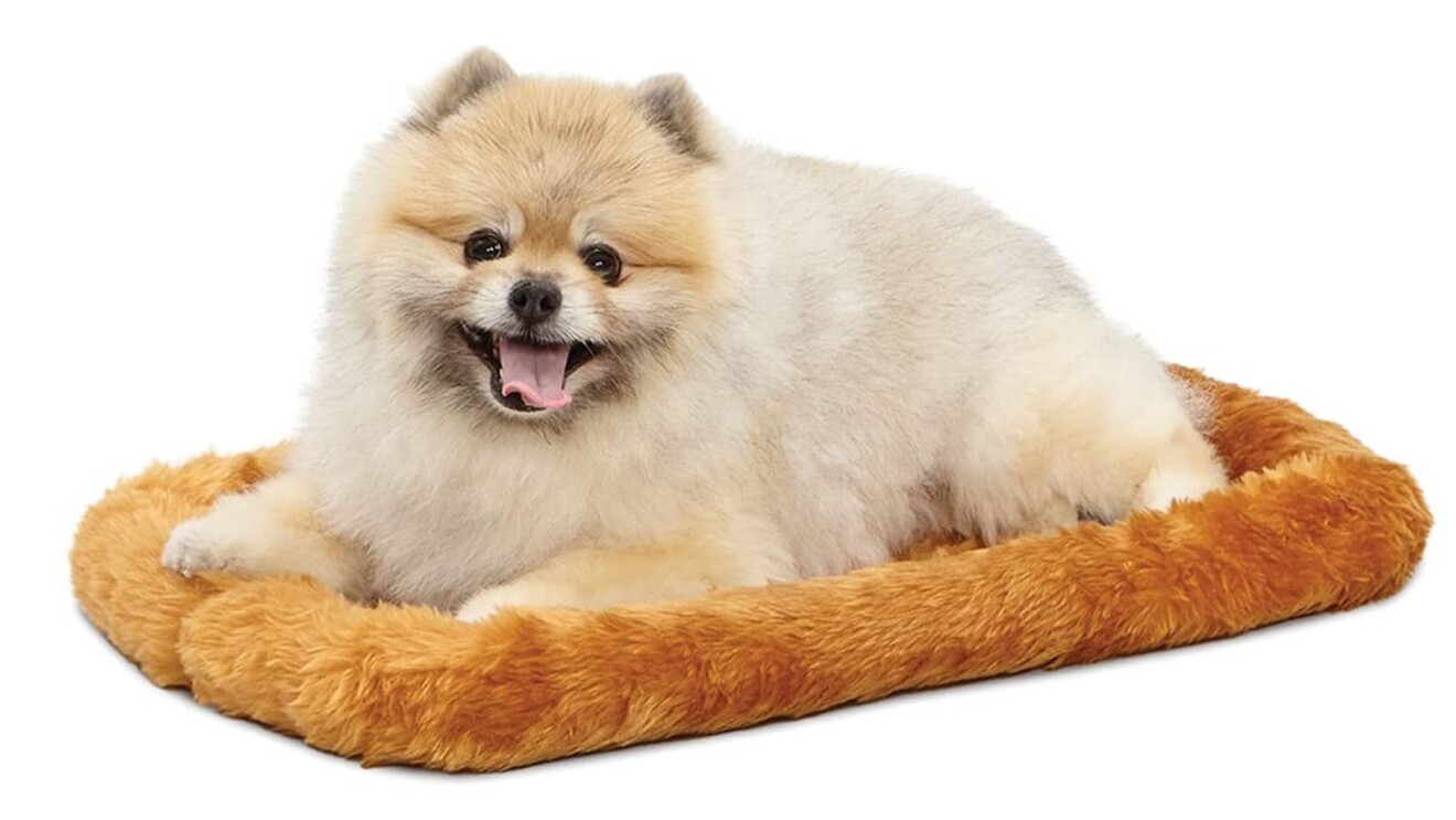 An image of a dog sitting on a pet bed.