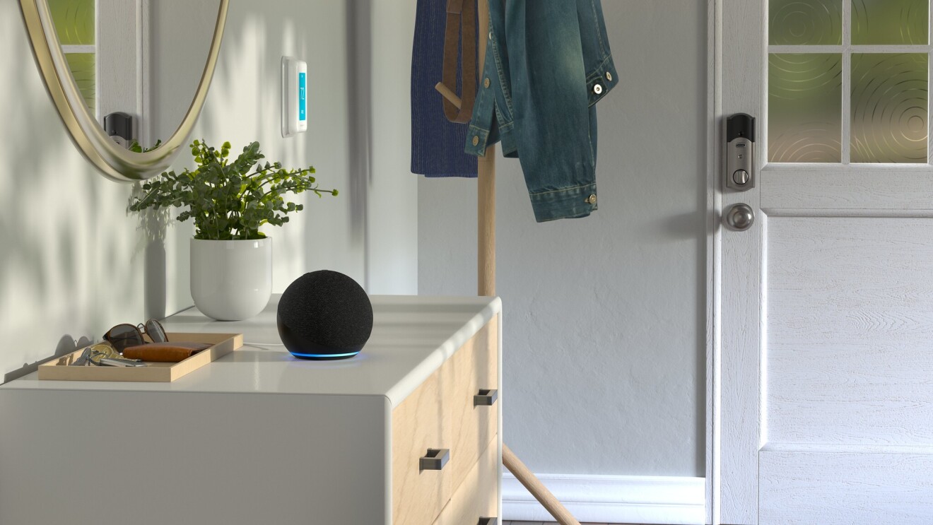 The Amazon Echo Dot on a counter next to a plant and a tray containing sunglasses, a wallet and keys.