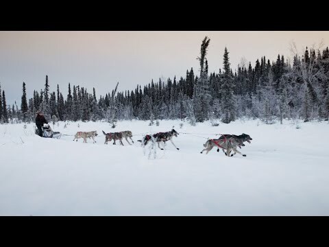 Watch how Amazon delivers to customers in rural Alaska
