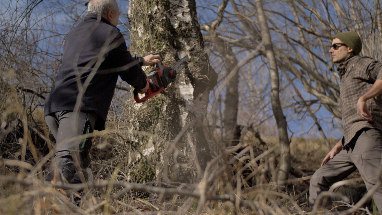 Andreu Carulla en Gistaín preparando el proyecto Diseñando la repoblación.
