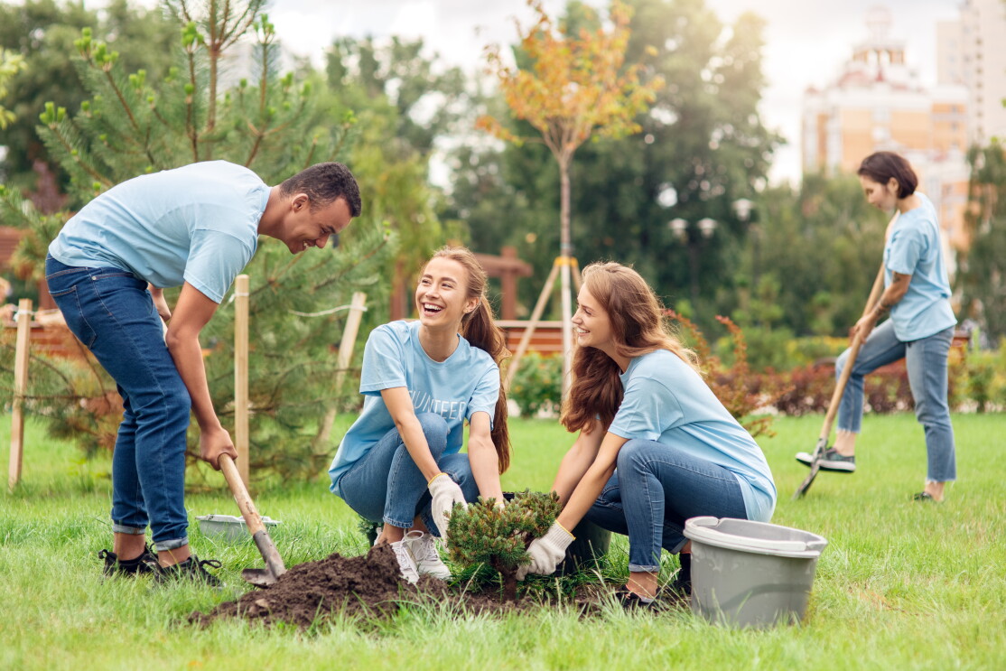 people planting tree