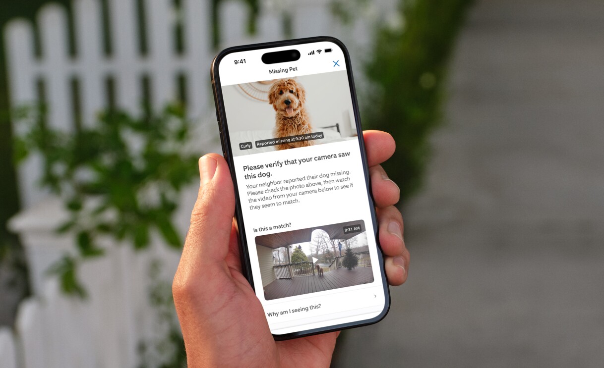 Smartphone displaying missing pet alert with dog photo and camera footage