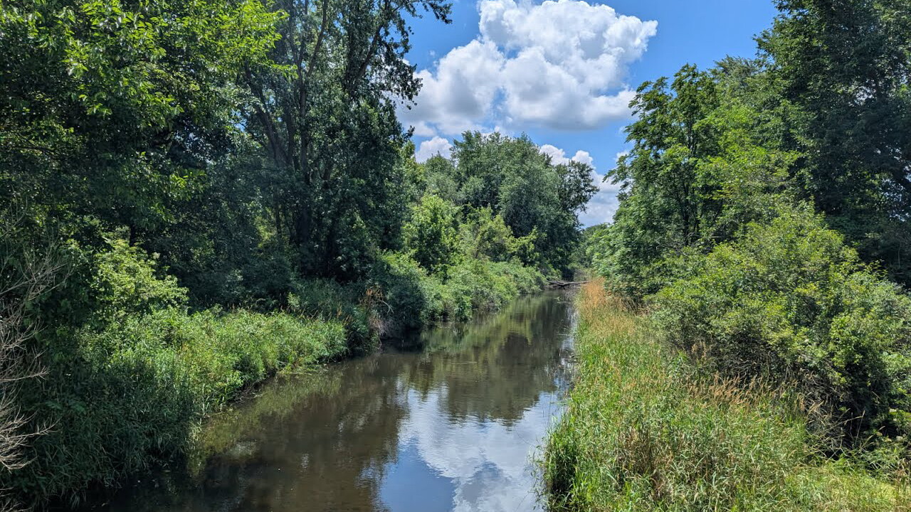 Calm river winding through lush green trees under a blue sky with white clouds