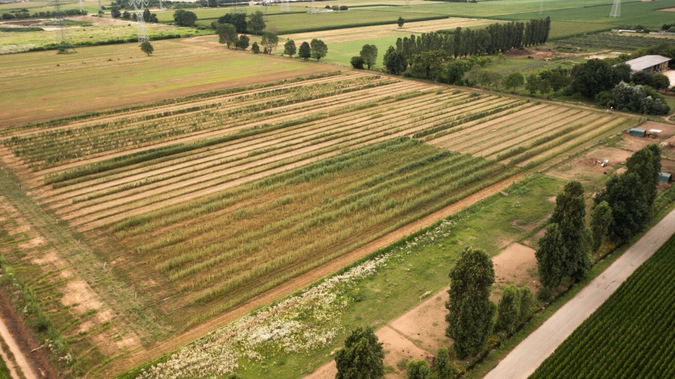 Chiavasso_DJI_0879-Migliorato-SR.jpg