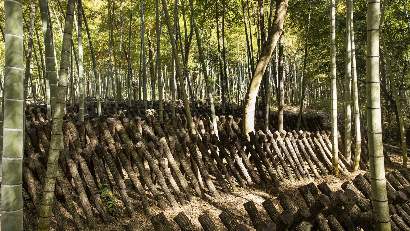 デジタルが切り拓く中小企業の未来 Vol.17 日本の中小企業が世界に羽ばたくために