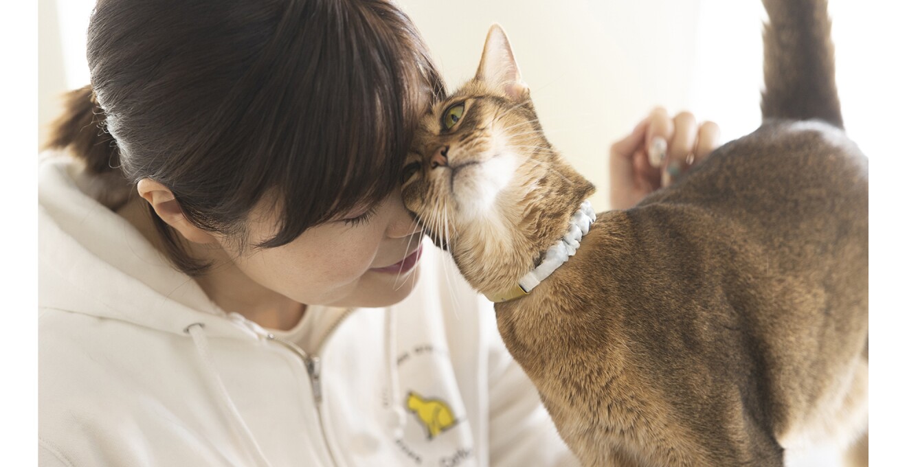 伊豫さんの顔にすり寄るブリ丸の写真