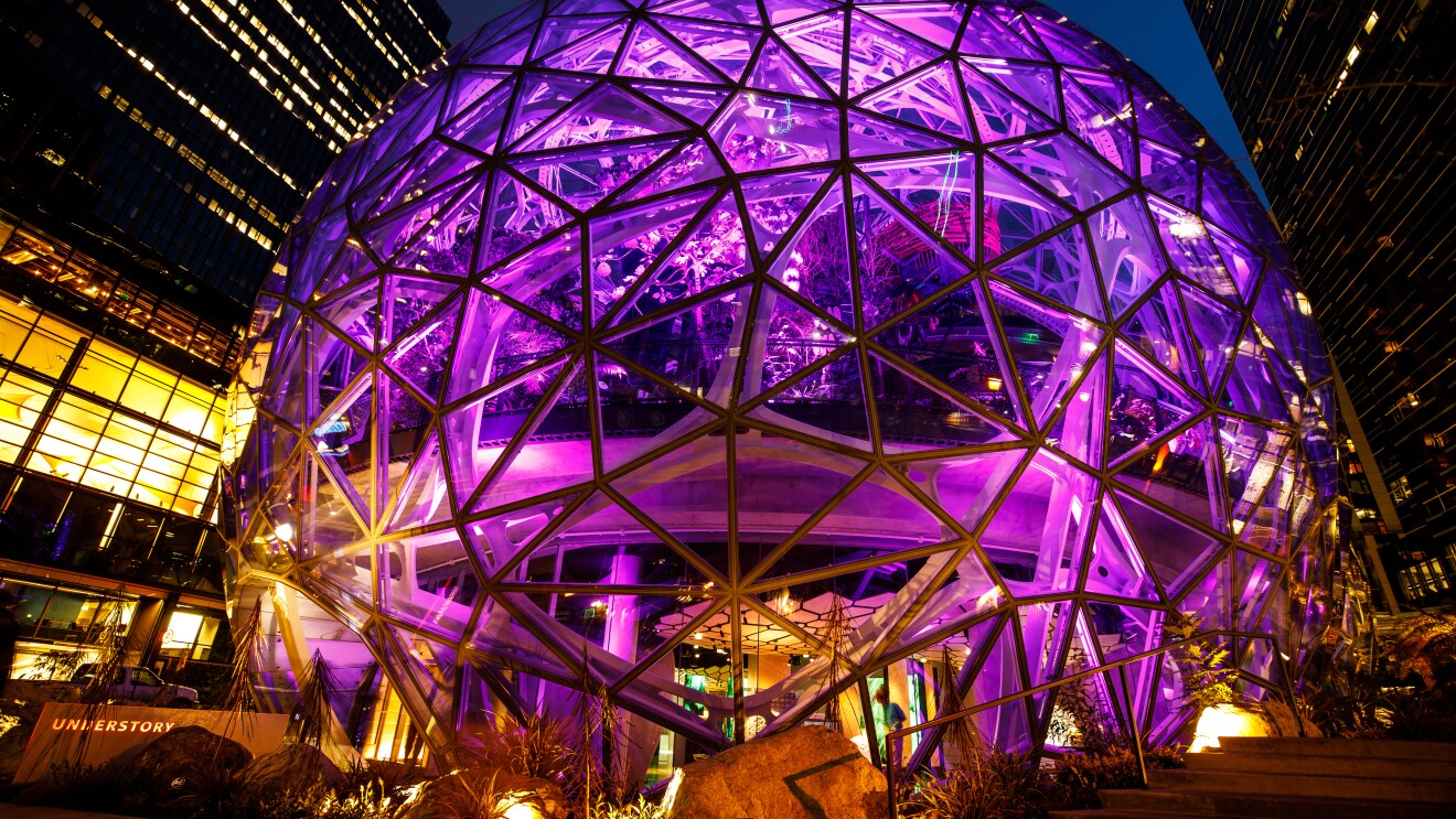 紫色的特奥会的球体