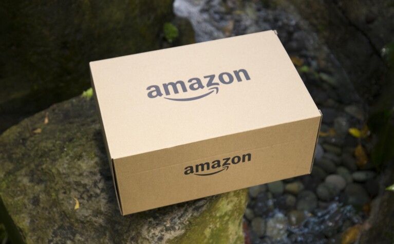 An Amazon Package sits on a rock in the Seattle Spheres.
