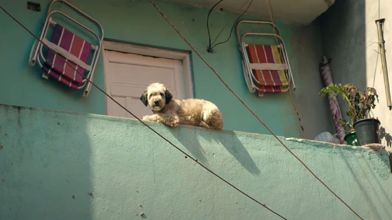 Amazon delivers to customers in favelas across Brazil