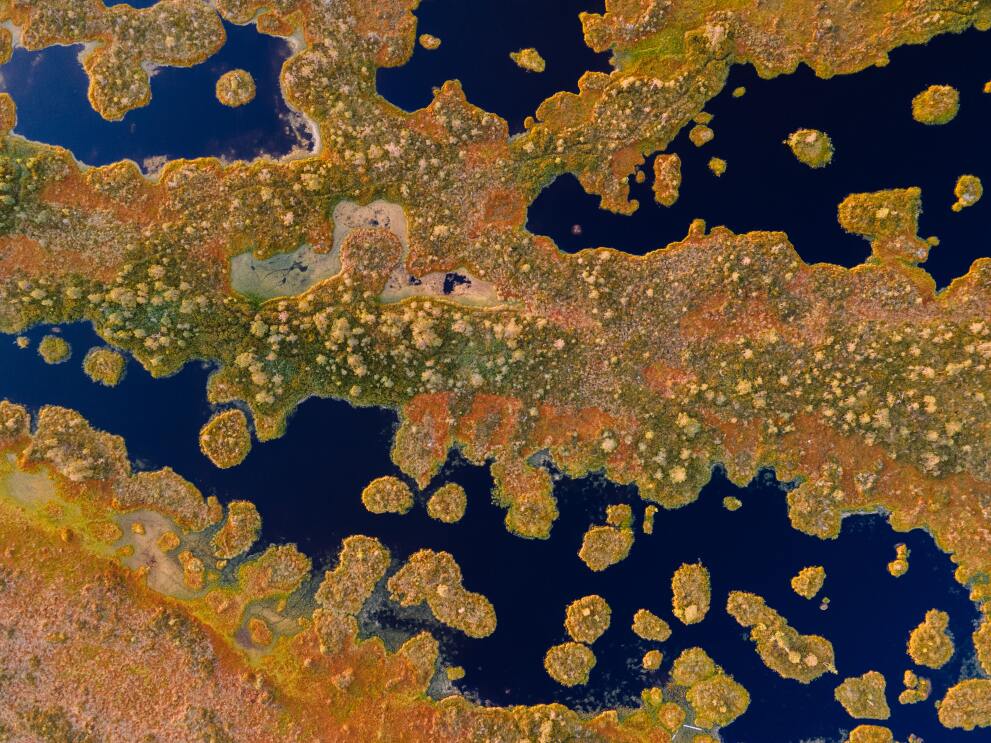 Ireland peatland RNCF