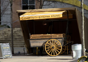 Seattle Headquarters Banana Stand