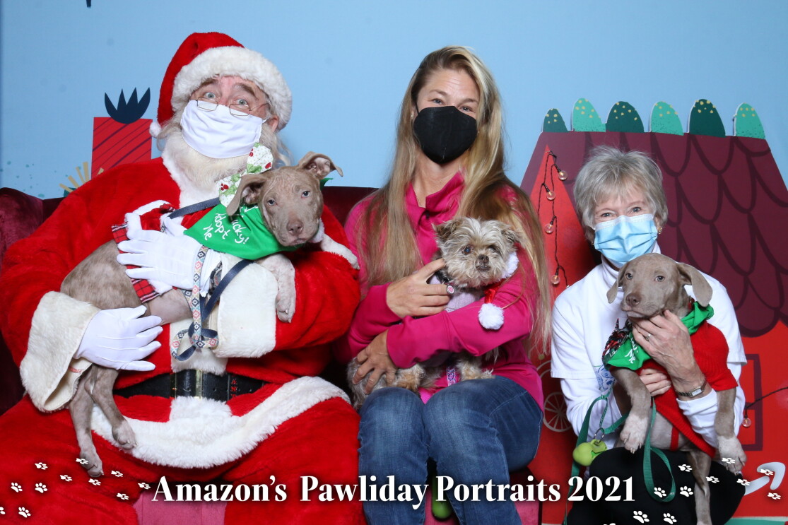 Santa poses with pets of Amazon customers and employees
