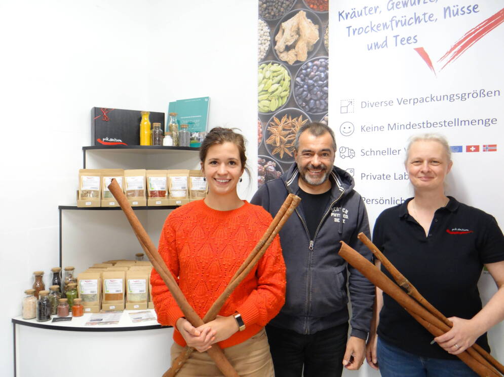 Das pikantum-Team motiviert bei der Arbeit.