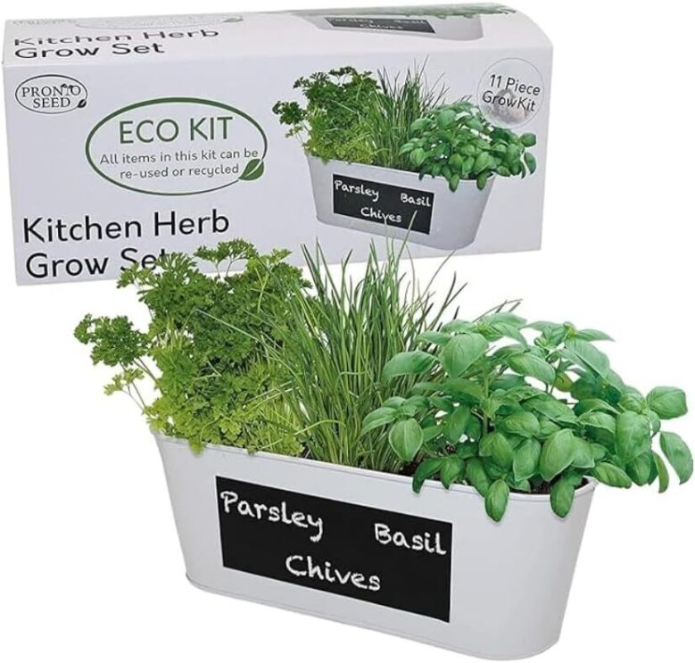 Grow Your Own Herb Kit on white background