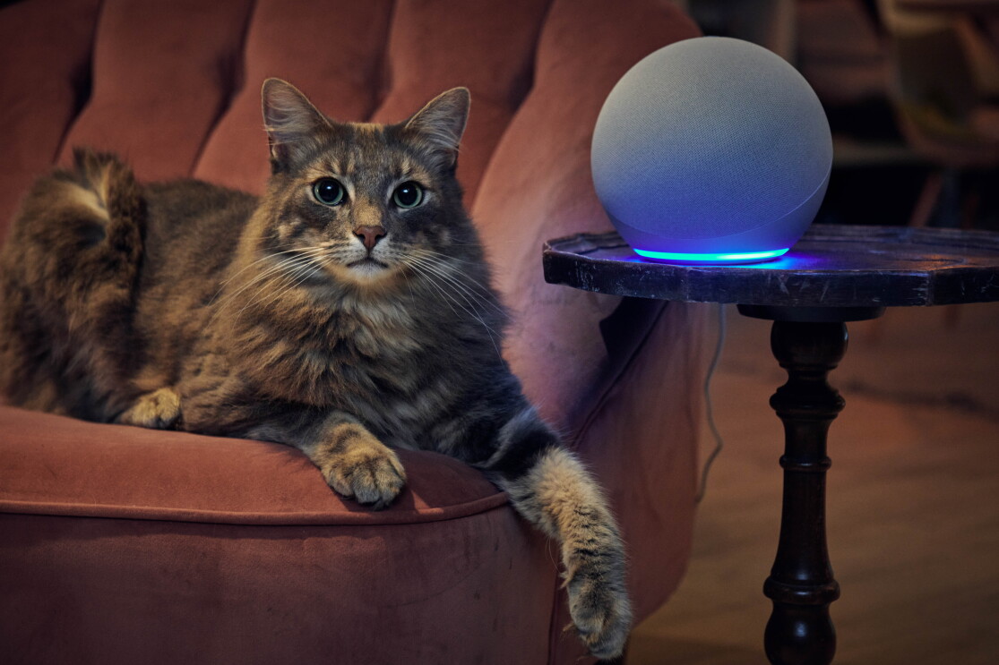 Alexa_Pets2