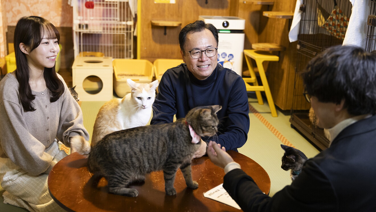 猫用トイレやケージ、空気清浄機などが置かれた和室。ちゃぶ台を囲んで女性1人、男性2人が話している。ちゃぶ台の上に猫が2匹のっている。ちゃぶ台の右側にも猫。
