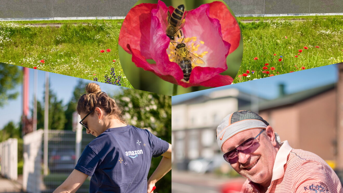 Promo Volunteering Rheinberg
