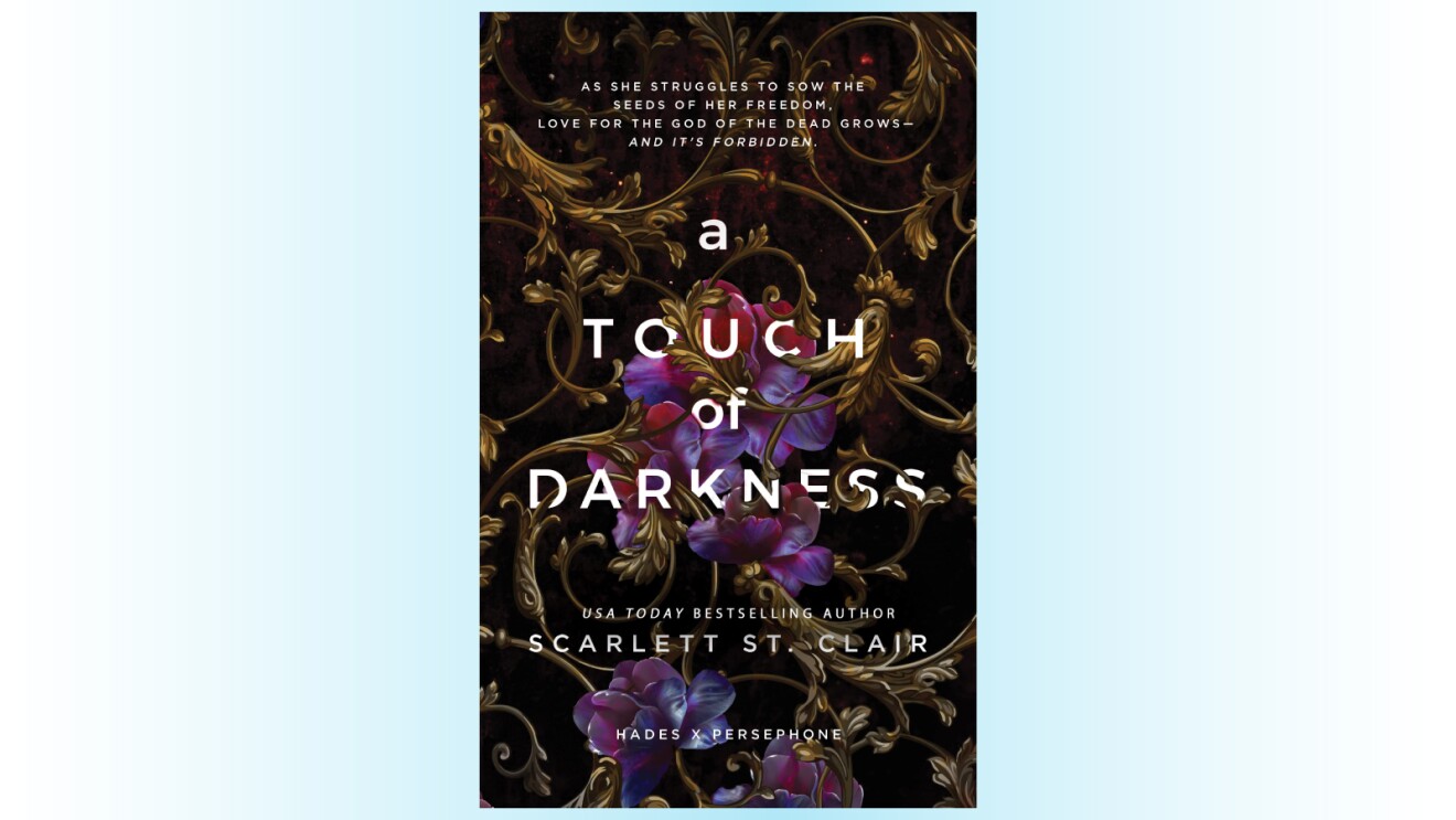 A book cover of A Touch of Darkness.