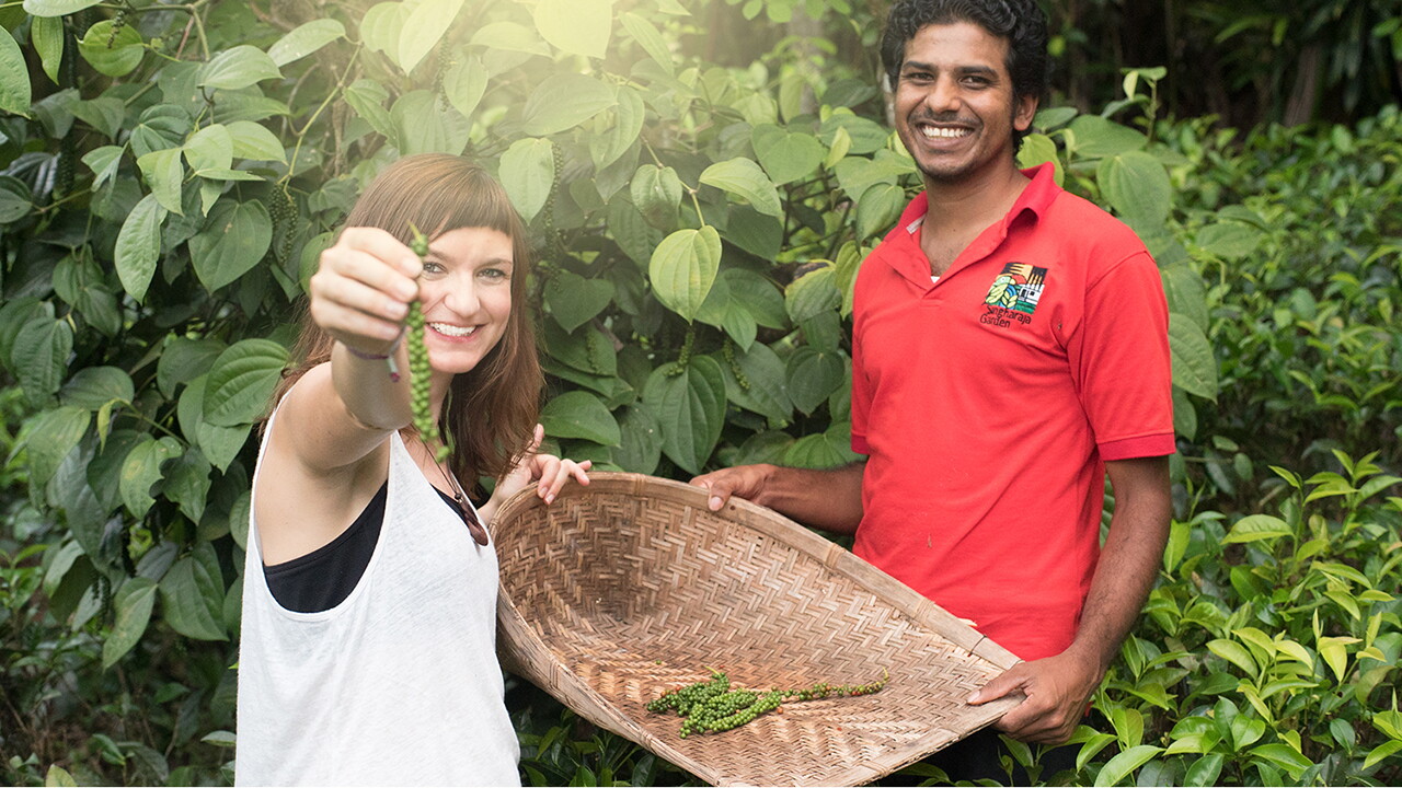 Laura Brandt von Yummy Organics