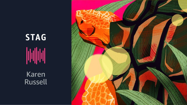 Text that reads, "Stag by Karen Russell" alongside a graphic of a turtle.