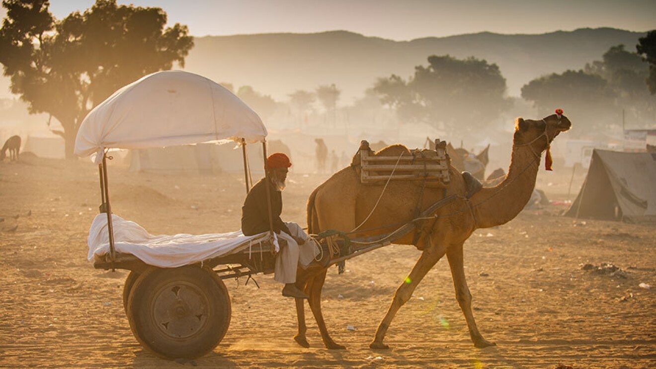 Pushkar 4