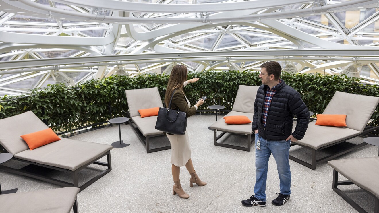 下面描述的领域特性的图像。