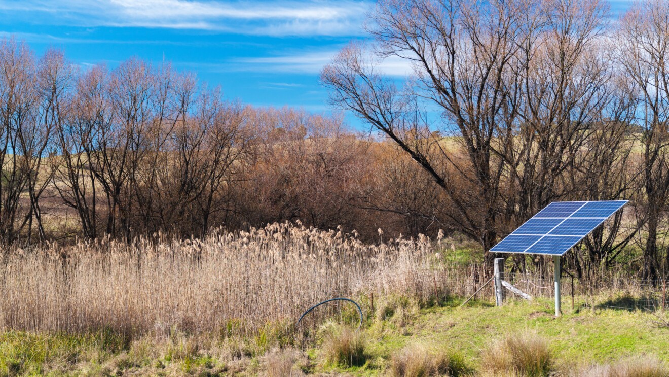 Solar panel installation in rural grassland with bare trees and mountains in background