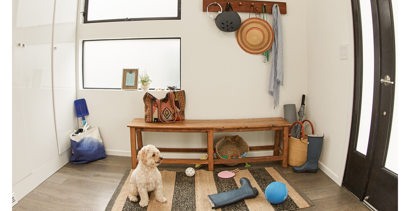 Ring Indoor Camで撮影されたペットがお留守番をする室内の映像