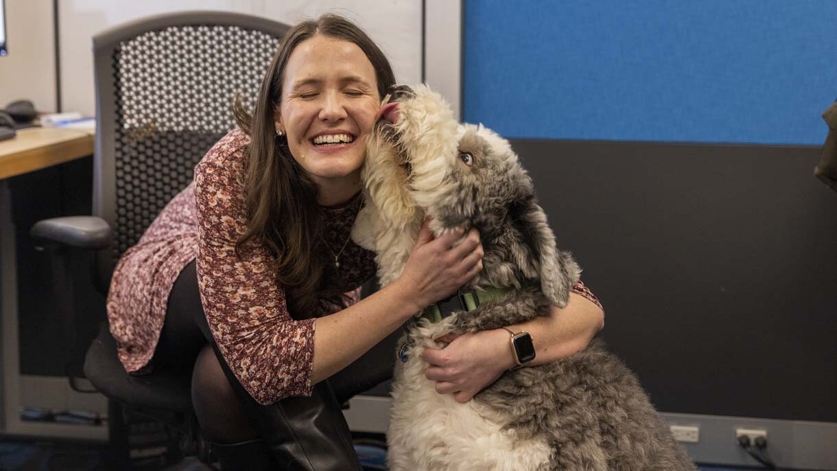 An image of dogs in the office at Amazon's Seattle headquarters with employees.