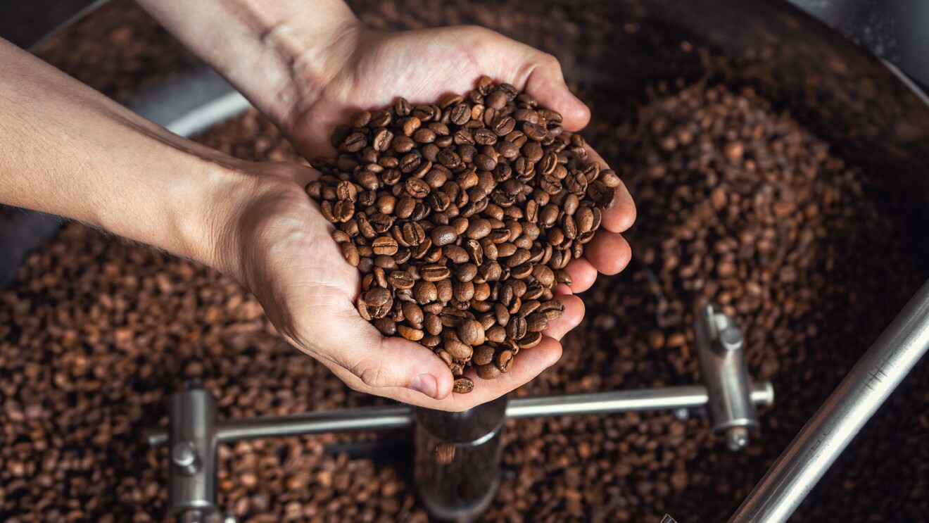 Prime Day 2023 live blog best deals: two hands holding a handful of coffee beans with more coffee beans in a machine in the background.