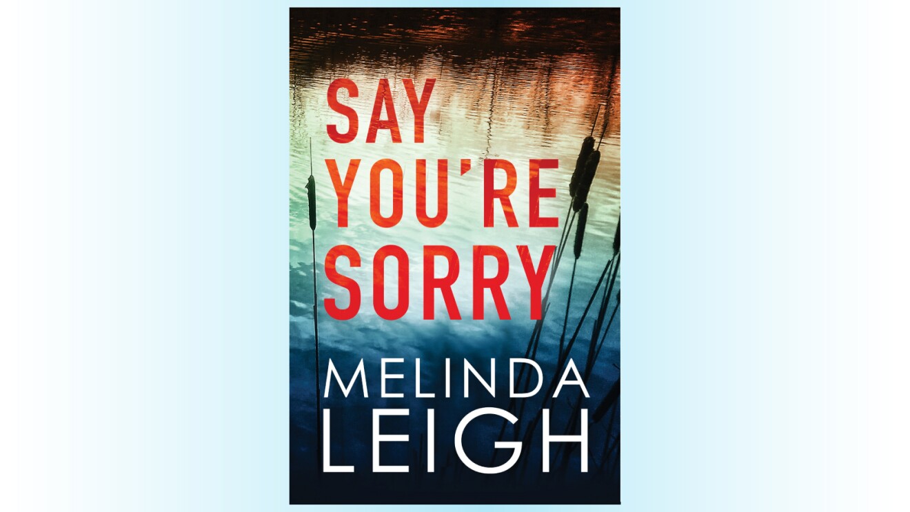 An image of the cover of Say You're Sorry.