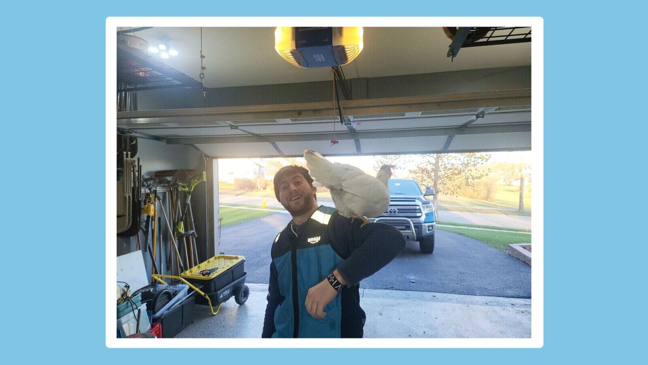 Jack wears blue Amazon safety vest and stands in a garage smiling with a chicken on his shoulder.