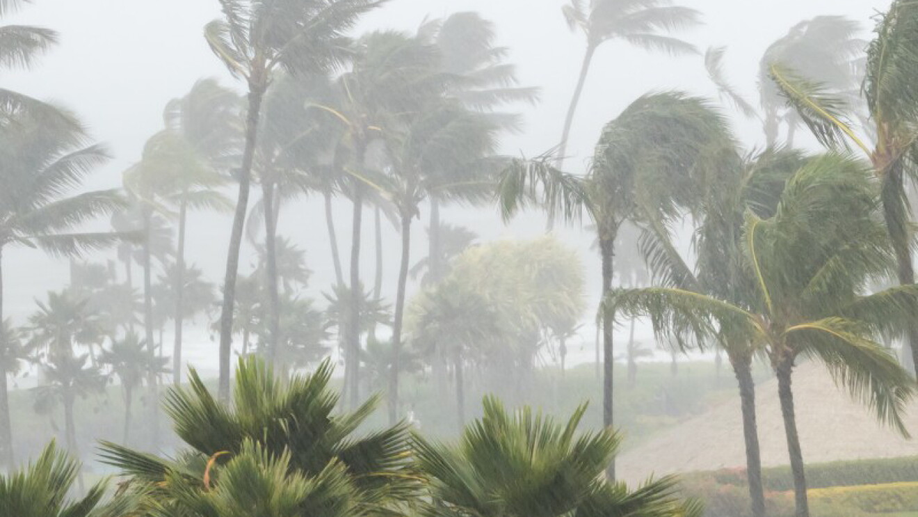 Sturm