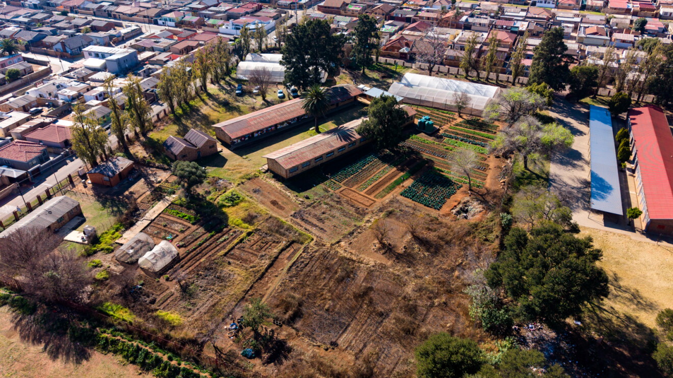 Aerial view of urban agricultural plots with rows of crops, greenhouses, and farm buildings surrounded by residential neighborhoods