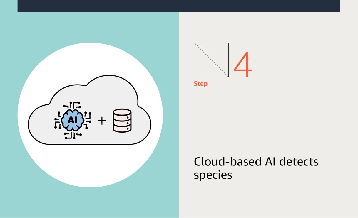 An illustration of AI and data symbols in the cloud.