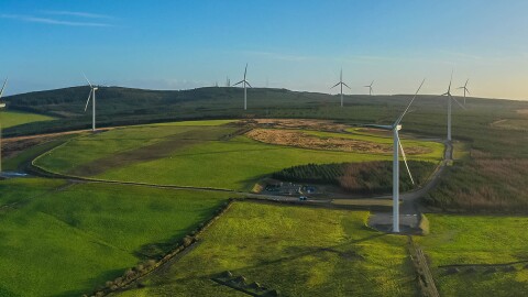An image of a wind farm in a green field with windmills around it.