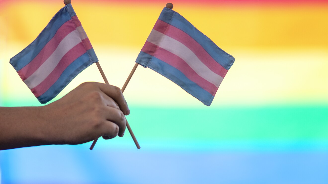 一只手高举着两只小反式背光骄傲的旗帜,执行“彩虹”骄傲国旗作为背景