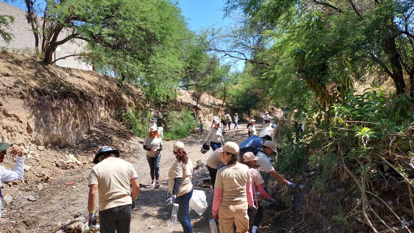 Voluntariado Mes de la Tierra 2026 México