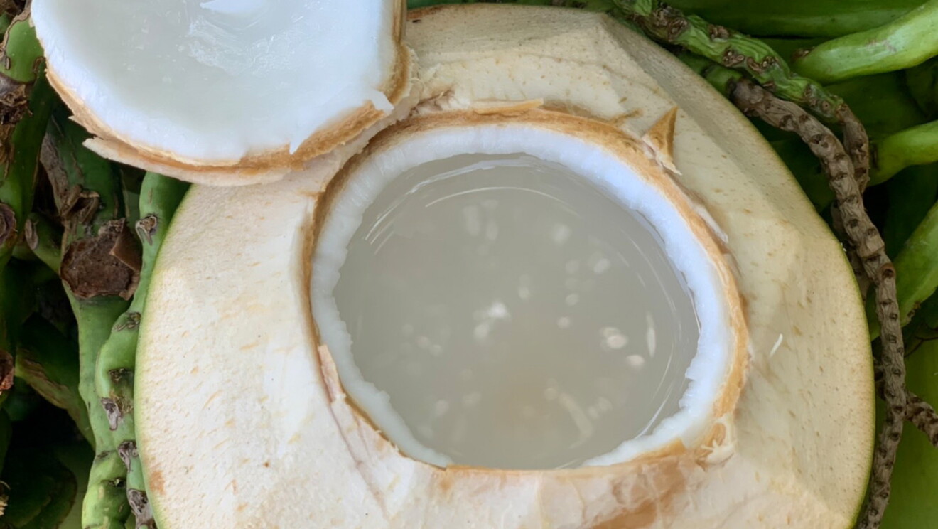 An image of an opened coconut. There is a hole in the center of the coconut that shows the water inside. 