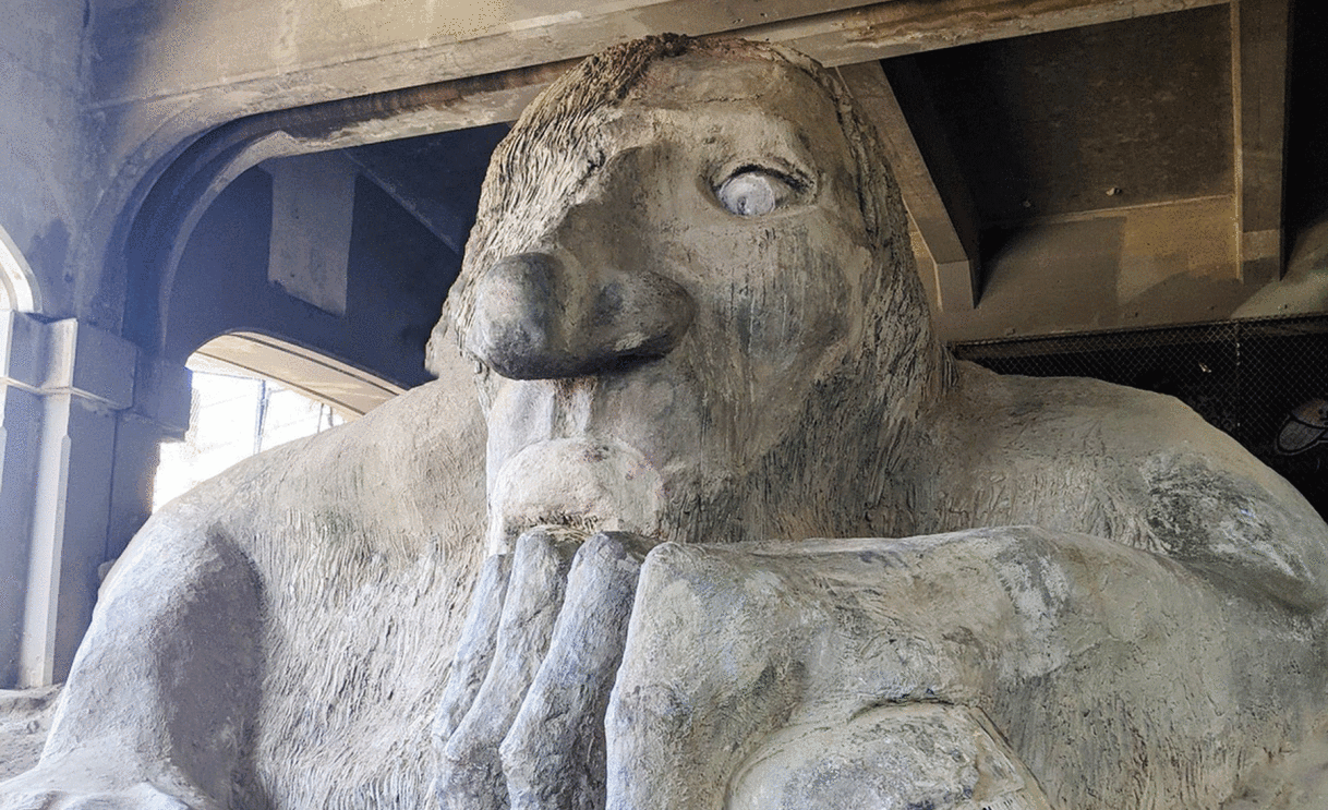 An image of the stadium feature described below