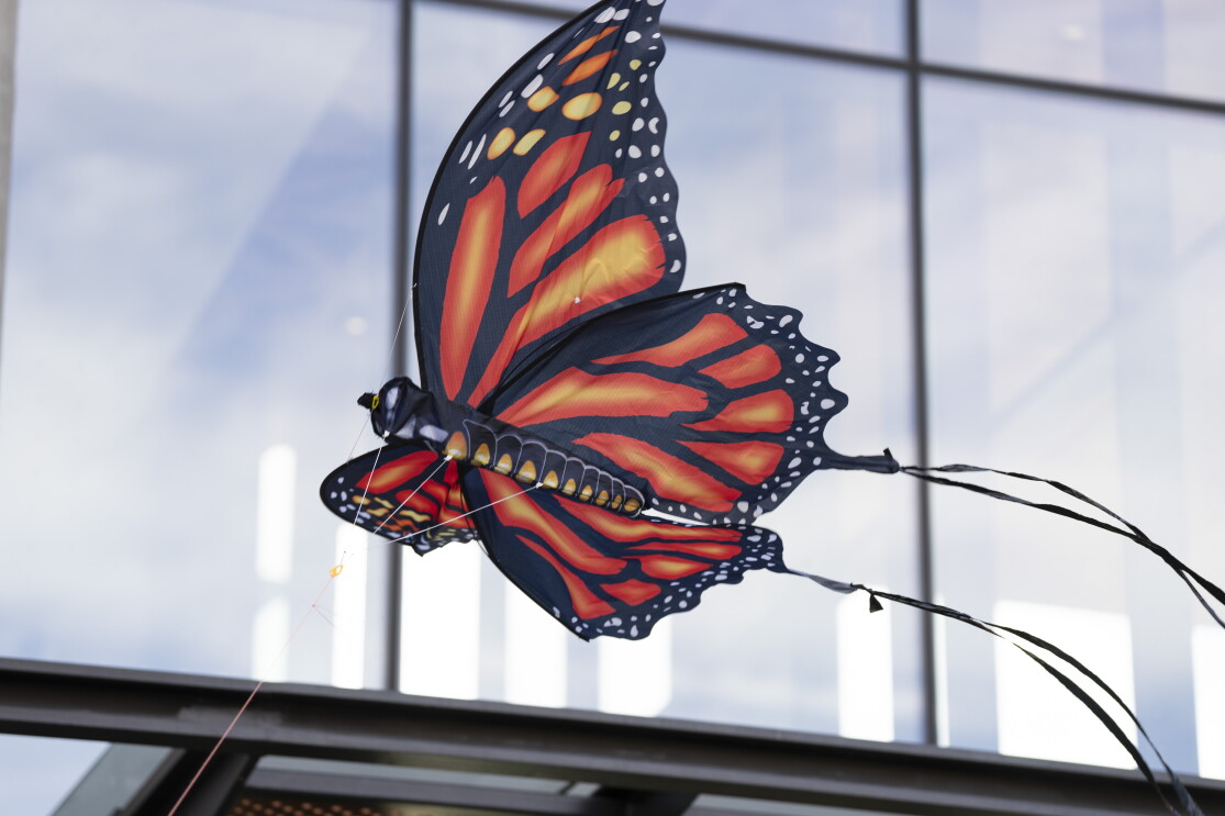 Close up of a butterfly kite