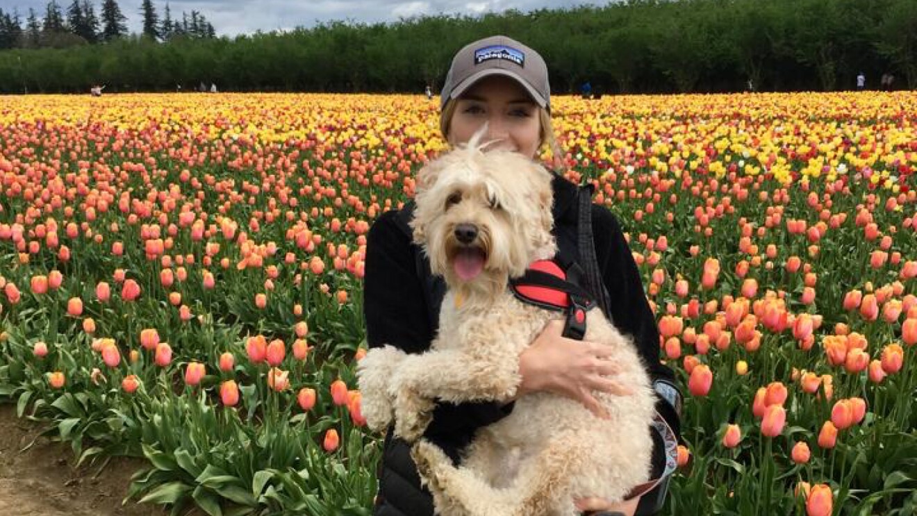 A young lady holding her dog in a tulip field.