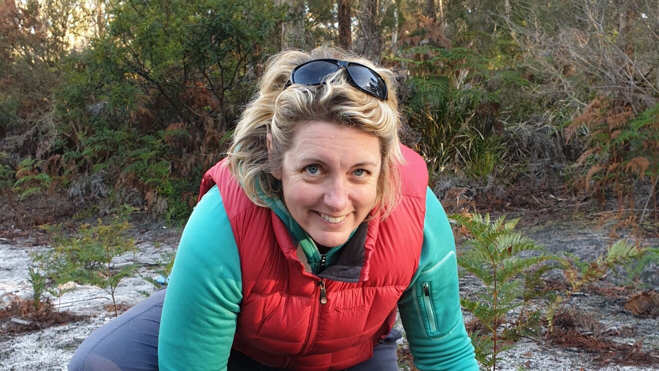 Dr Carolyn Hogg releasing a Tasmanian devil