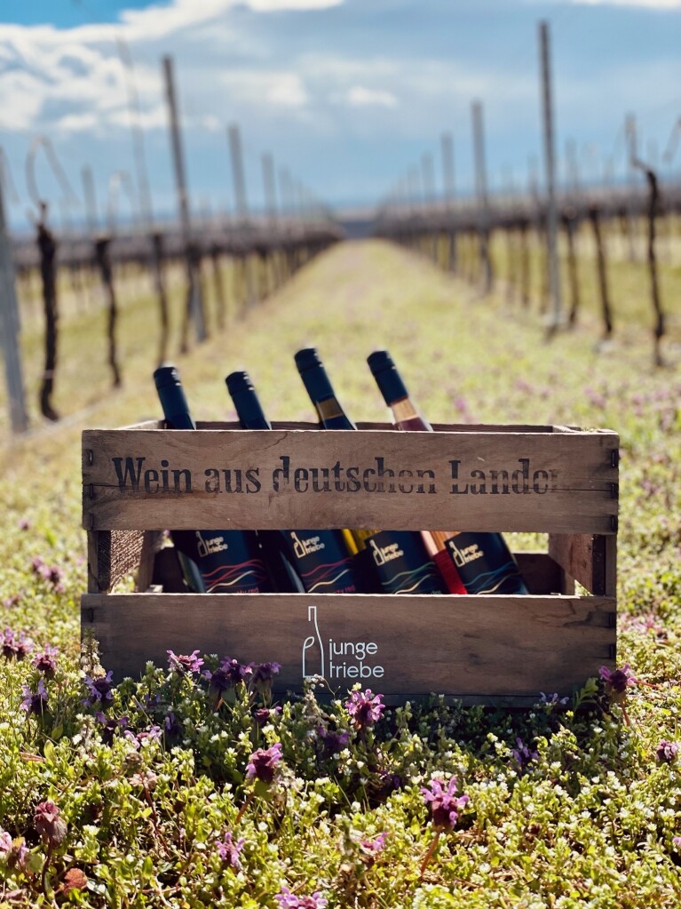 Bilder von Rheinland Pfalz KMU report und Junge Triebe