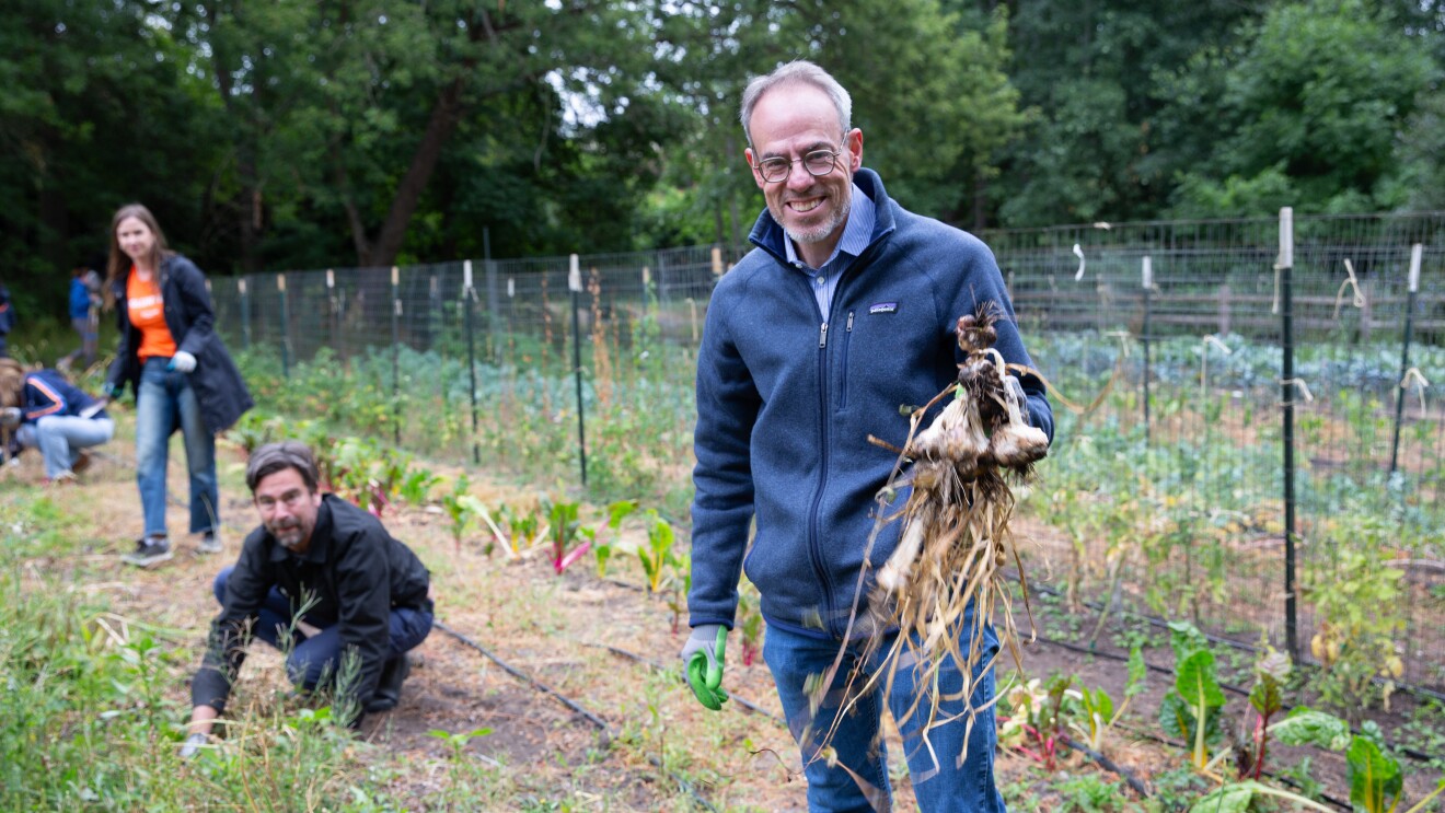 David Zapolsky, Community garden volunteers tending to vegetable plots