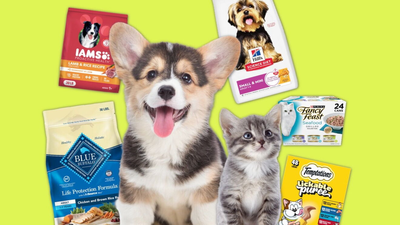 Corgi puppy and kitten with pet food products including Iams, Hill's Science Diet, Blue Buffalo, Fancy Feast, and Temptations