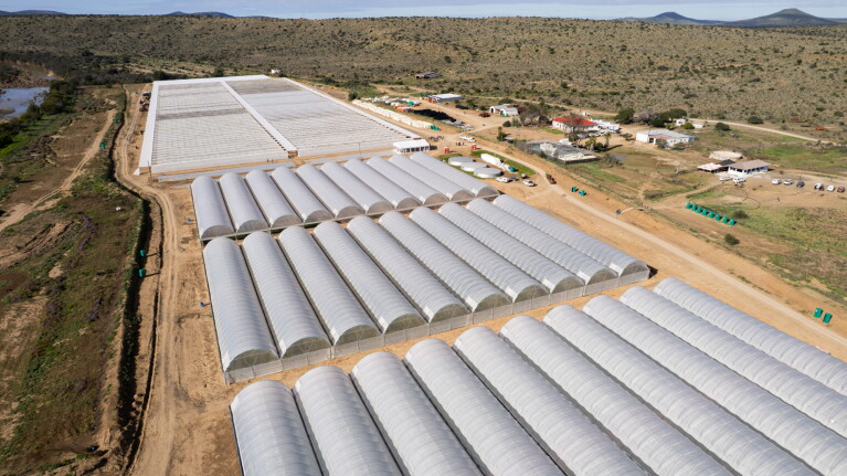 Aerial view of multiple greenhouse tunnels arranged in rows on agricultural land in an arid rural landscape