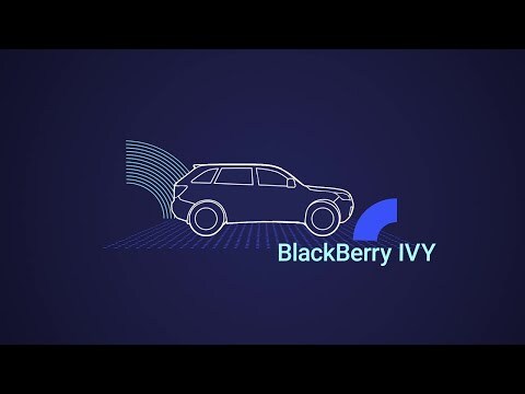 Introducing Ivy