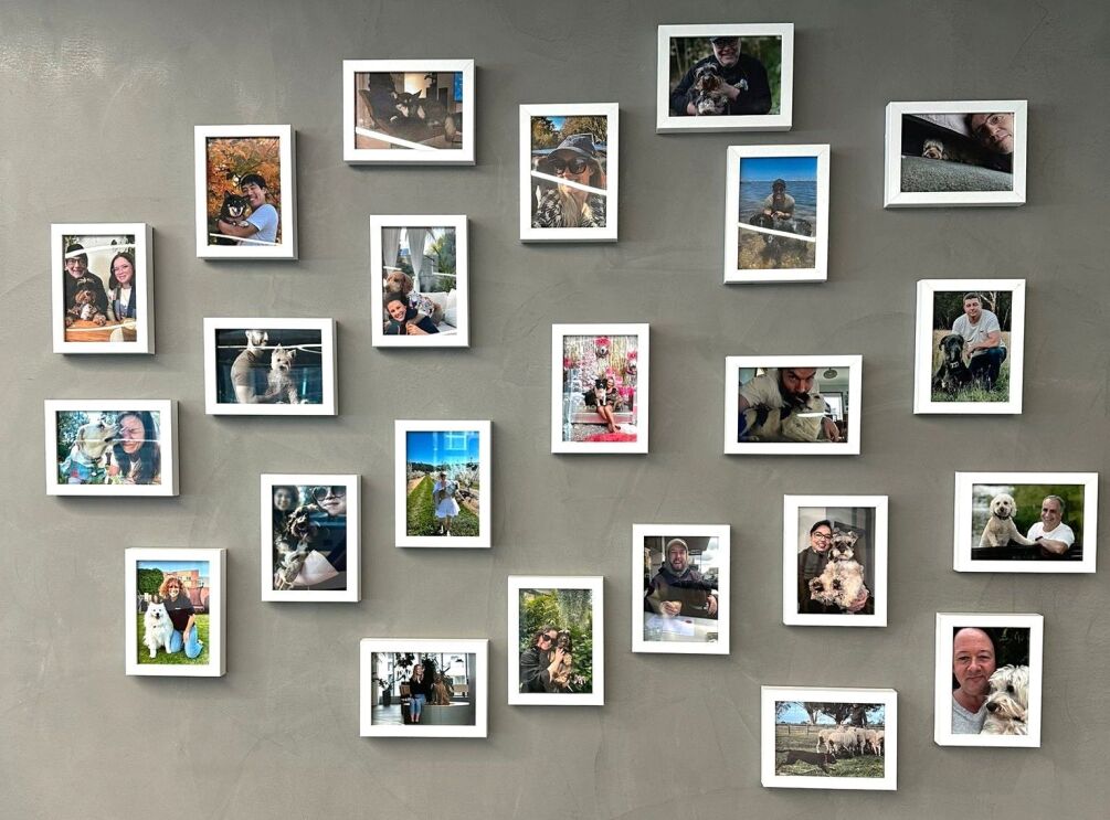 A wall with Amazon employee's dogs